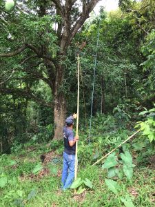 whatsapp image 2023 05 24 at.16.40