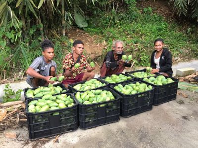 whatsapp image 2023 05 26 at.43.53